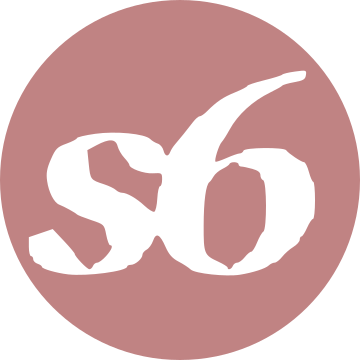 3 s6 logo