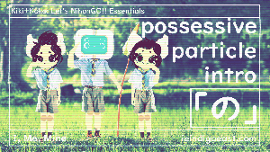 Kiki Koko and Quizbo Essential Basic Personal Pronouns Possessive No