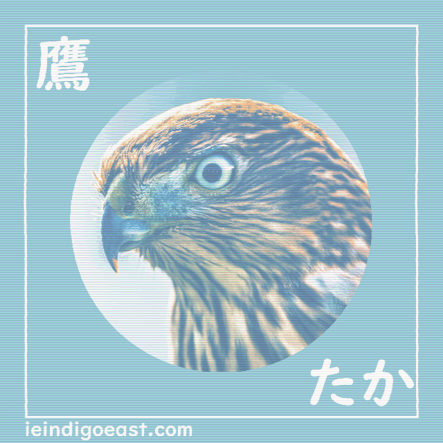 kiki koko nihongo - hatsuyume - taka