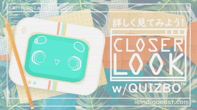 Closer Look w/QUIZBO™